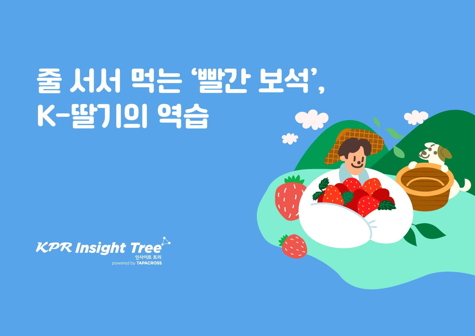 오늘의 인사이트 썸네일